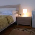 Krnic بيت ضيافة شيبينيك