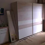 Krnic